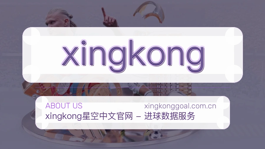 xingkong平台概况